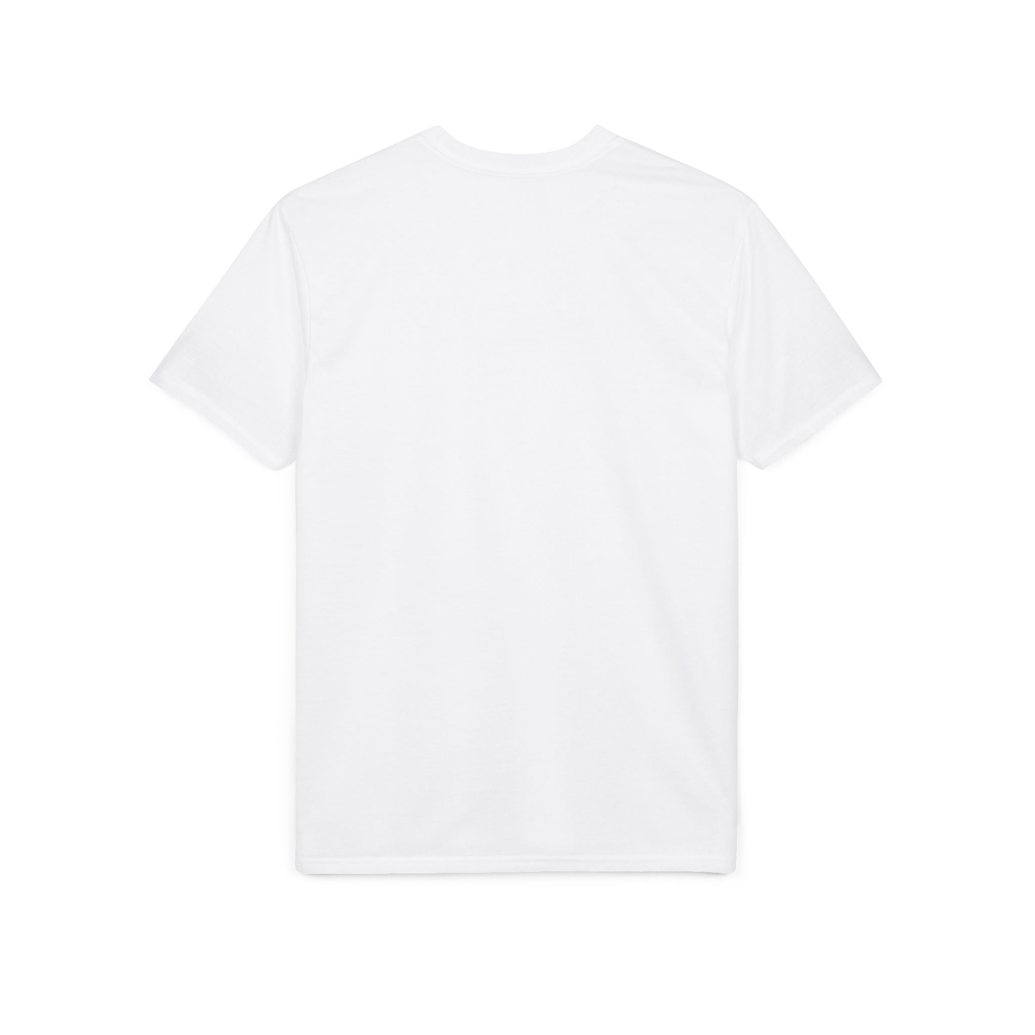 Christian Dove T-Shirt — "I can do all things through Christ who strengthens me" Inspirational Faith Tee